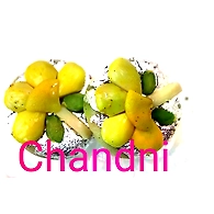 Chandni