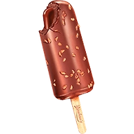 Dinshaws FROLIX Choco Nut Bar