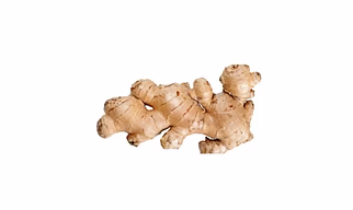 FRESH GINGER