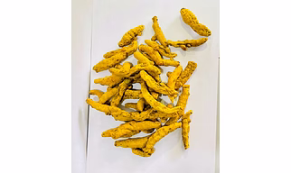 Turmeric finger