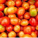 टमाटर (Tomato)-VCILS-1119-sm