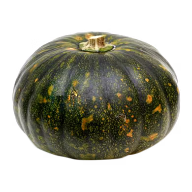 कद्दू  (Pumkin)-VCILS-1120