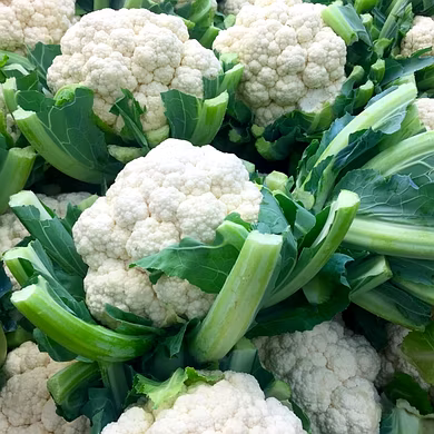 गोभी (Cauliflower)-VCILS-1127