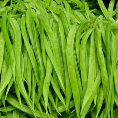 ग्वार फली  (Cluster Beans)-VCILS-1141
