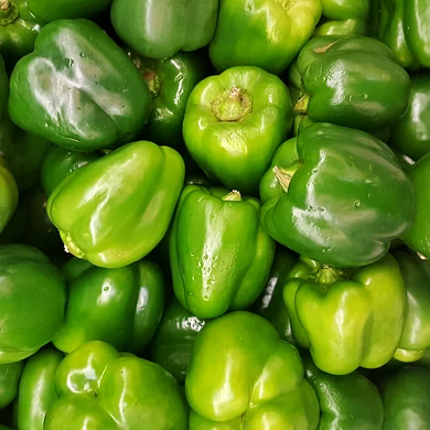 शिमला मिर्च (Capsicum)-VCILS-1157