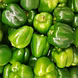 शिमला मिर्च (Capsicum)-VCILS-1157-sm