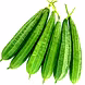 तुराई  (Ridge Gourd)-VCILS-1164-sm