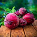 चकुंदर  (Beetroot)-VCILS-1169-sm