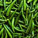 हरी मिर्च  ( Green Chilies)-VCILS-1179-sm