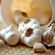 लहसुन  (Garlic)-VCILS-1187-sm