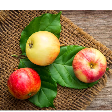 सेवफ़ल (Apple)-VCILS-1202