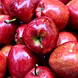 सेवफ़ल  ( Red Apple)-VCILS-1206-sm