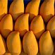 कलमी तोतापरी आम (Mango)-VCILS-1209-sm
