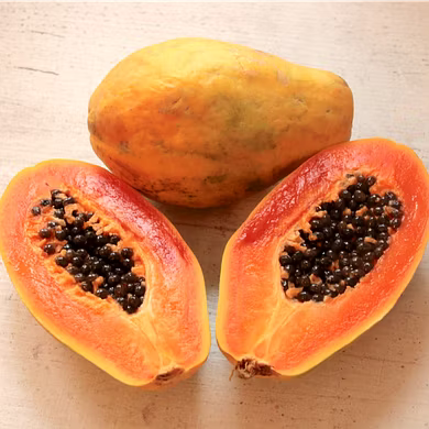 पपीता  (Papaya)-VCILS-1221