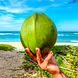 नारियल पानी  (Coconut)-VCILS-1231-sm