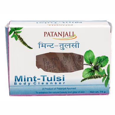 Patanjali MINT TULSI-GT099