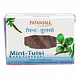 Patanjali MINT TULSI-GT099-sm