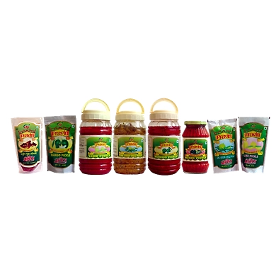 Pravin Pickles-SKU-KAR-10398