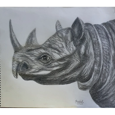 Rhinoceros (Amazing word)-15