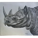Rhinoceros (Amazing word)-15-sm