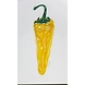 Yellow Chilli-24-sm