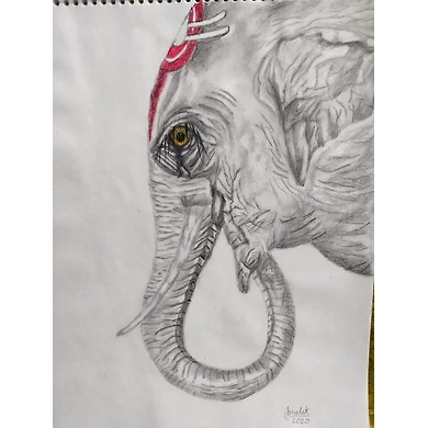 Baby elephant-CB31