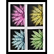 Flowers-CB46-sm