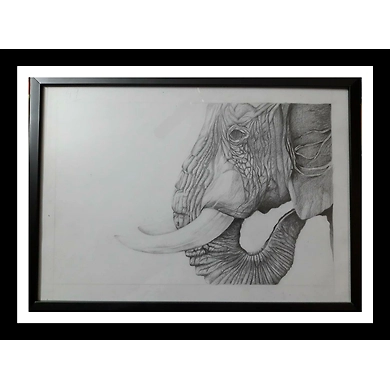 Elephant-CB48