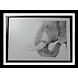 Elephant-CB48-sm