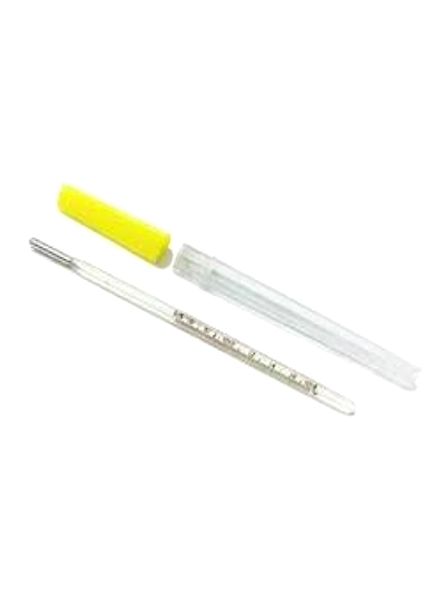 Thermometer Rectal