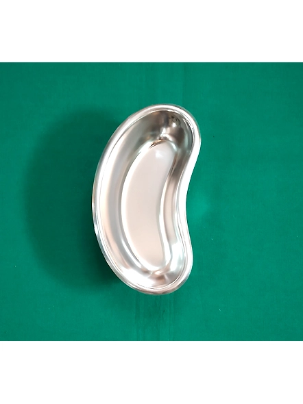 Kidney Tray-6 Inch ( Economy)-2