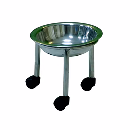 kick bucket