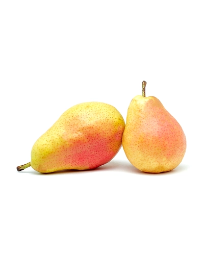 PEAR-8312030