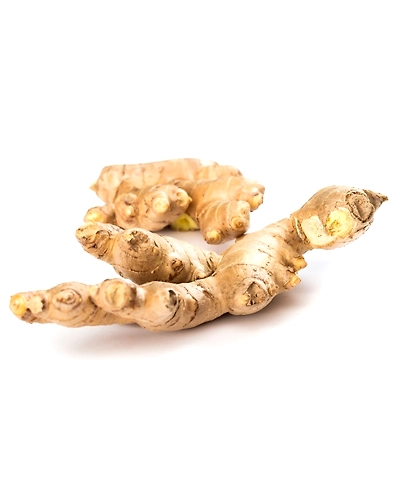 GINGER-8312034