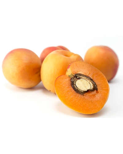 APRICOT-8312046