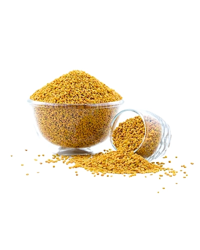 FENUGREEK SEED-8312054