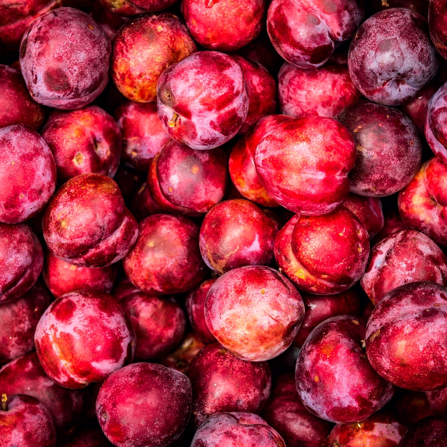 PLUMS image 1