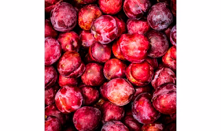 PLUMS