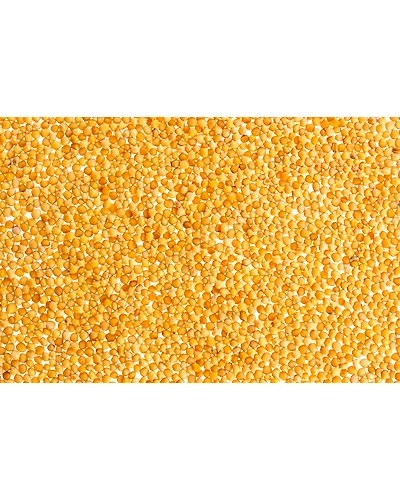Mustard Seed-8312078