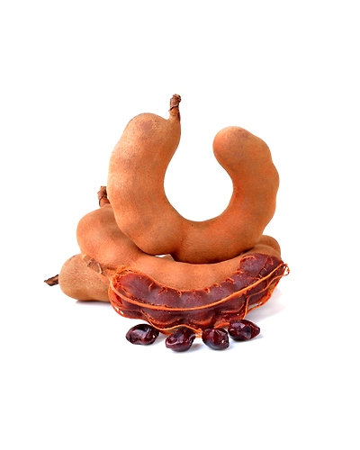 TAMARIND-8312100