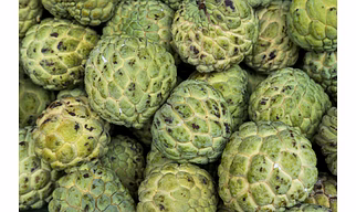 CUSTARD APPLE