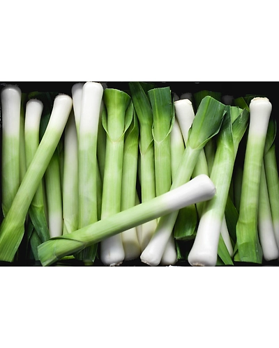 Leeks-8312304