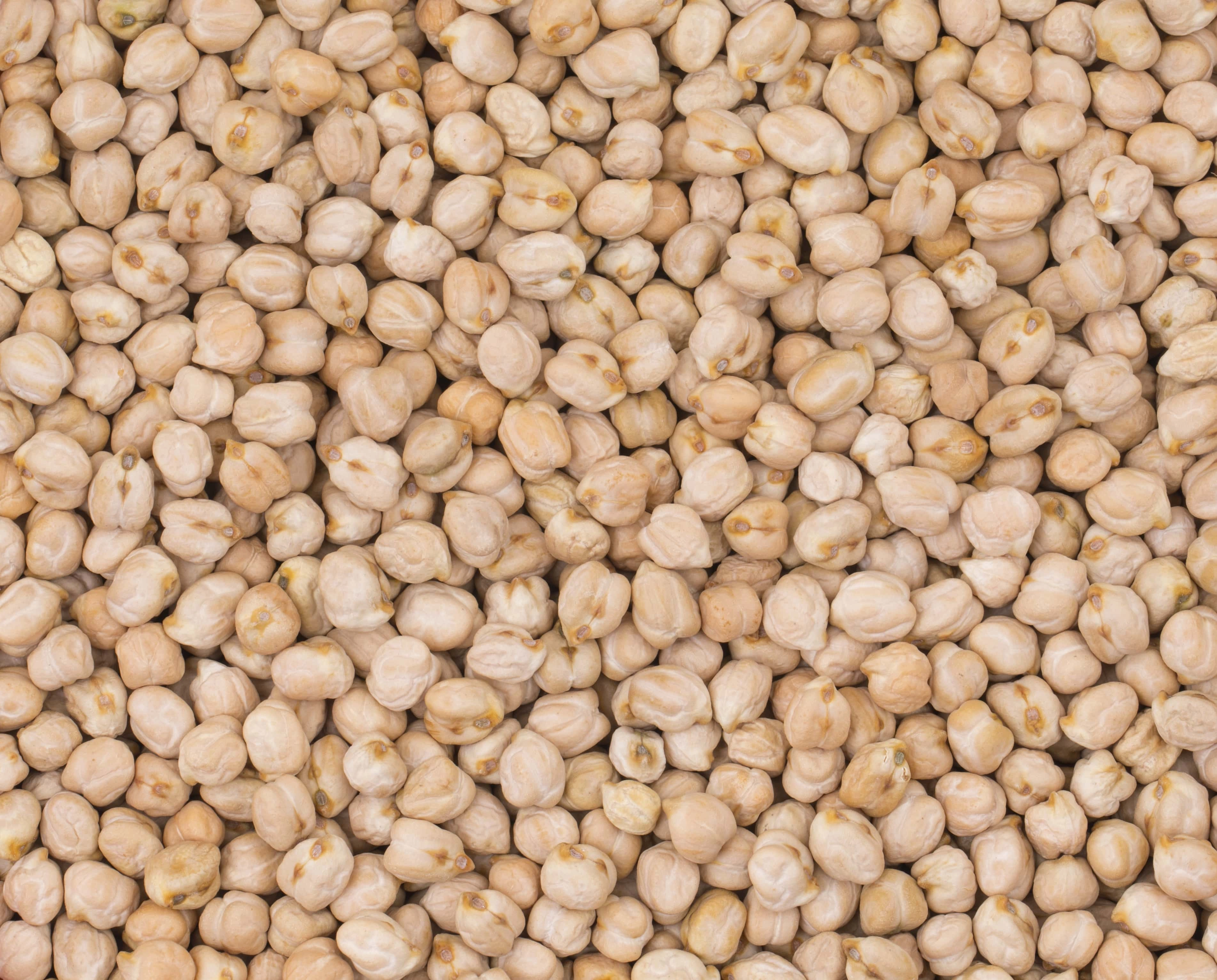 Chickpeas (Chana)-8312386