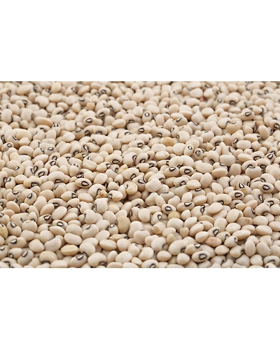 Black eyed beans ( Chawli / lobia)-8312406