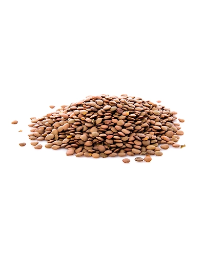Red lentils( Masoor)-8312416