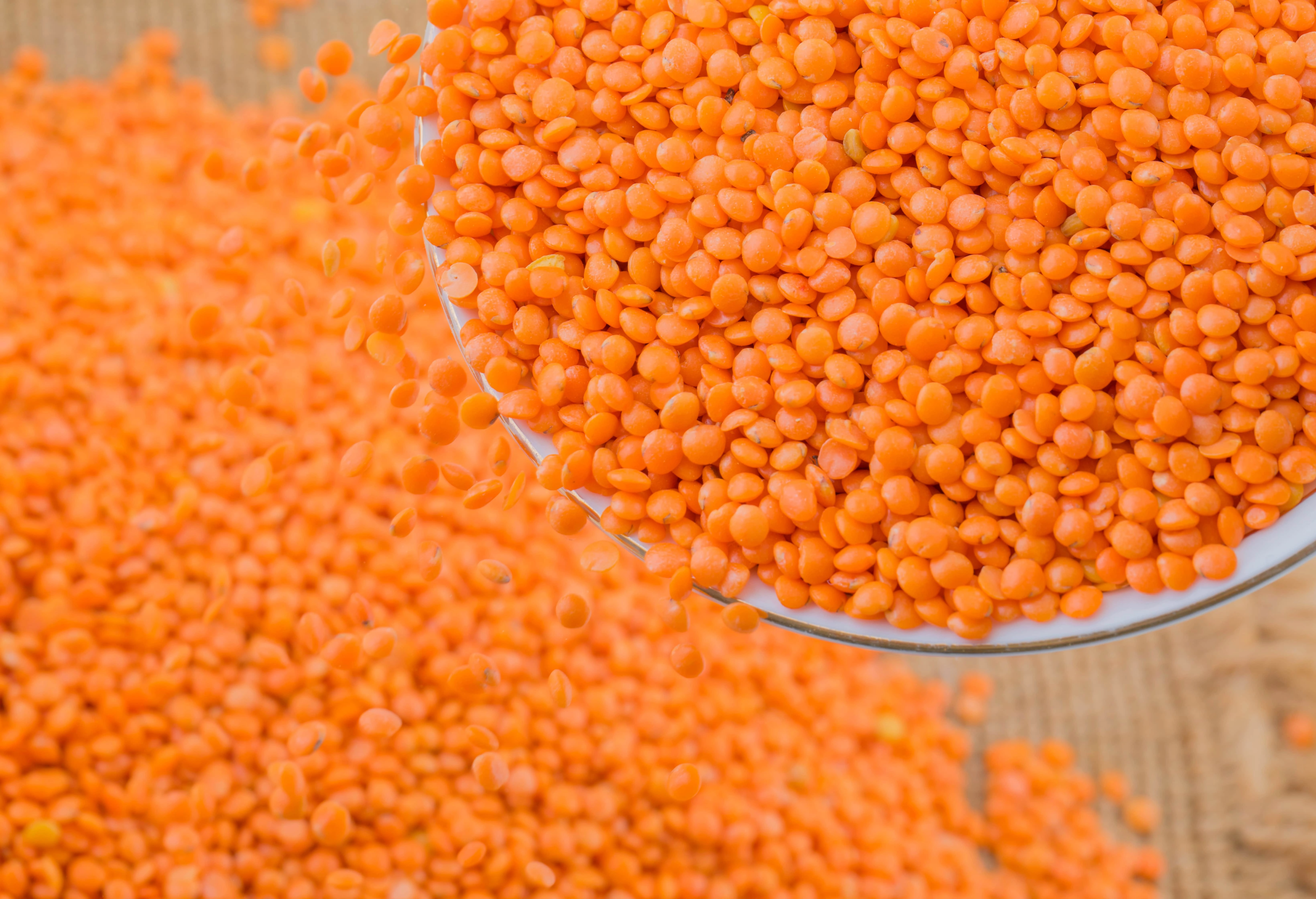 Split red lentils ( Masoor daal)-1