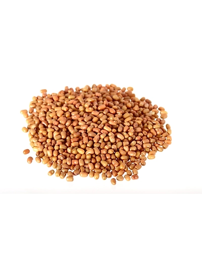 Turkish/dew gram (Moth)-8312424