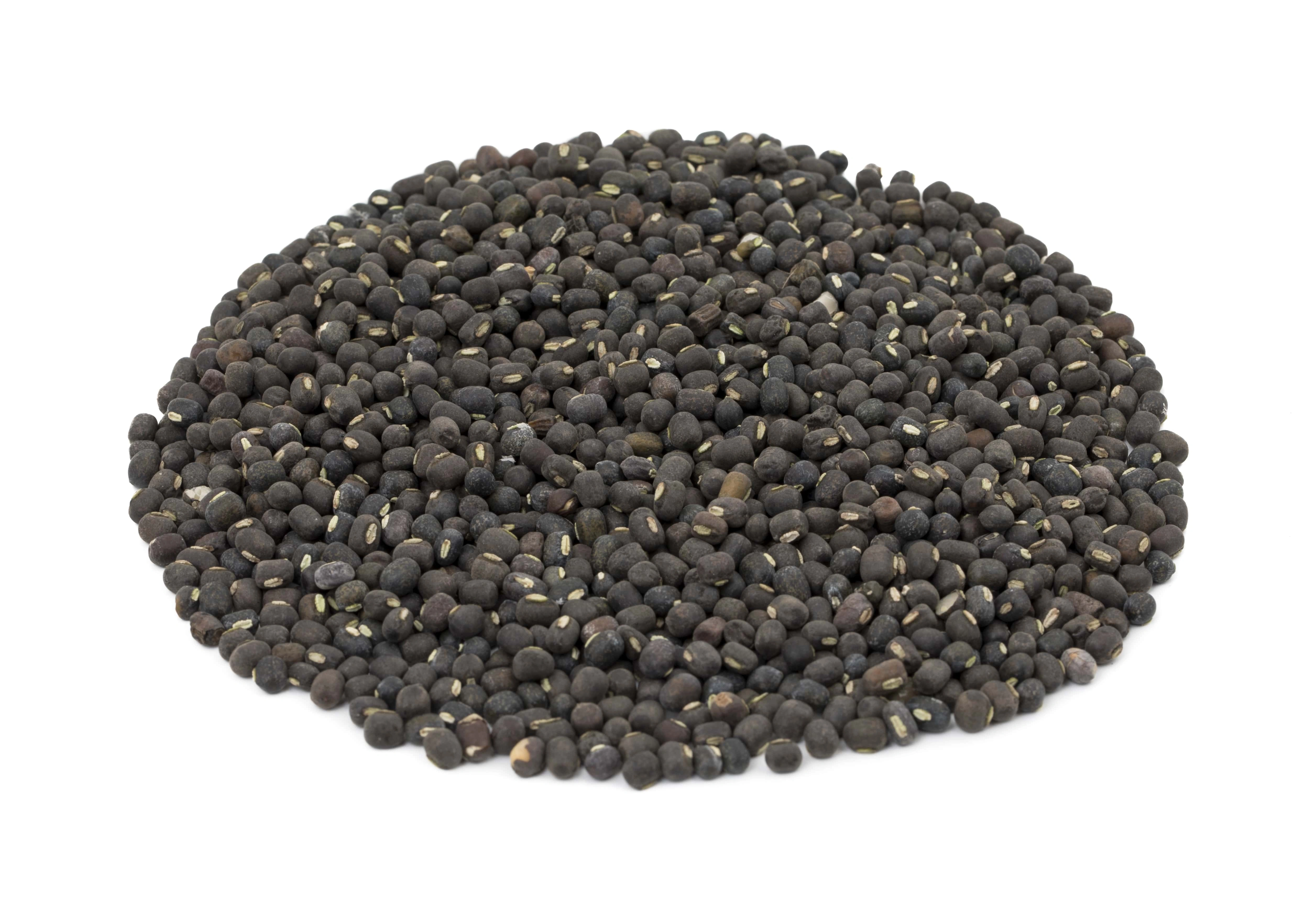 Black gram beans ( Urad)-8312430