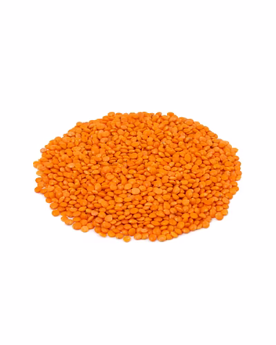 Split red lentils ( Masoor daal)-8312418