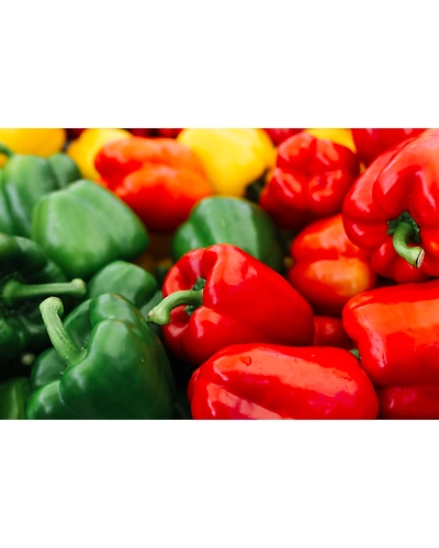 Green Bell Peppers-8312456